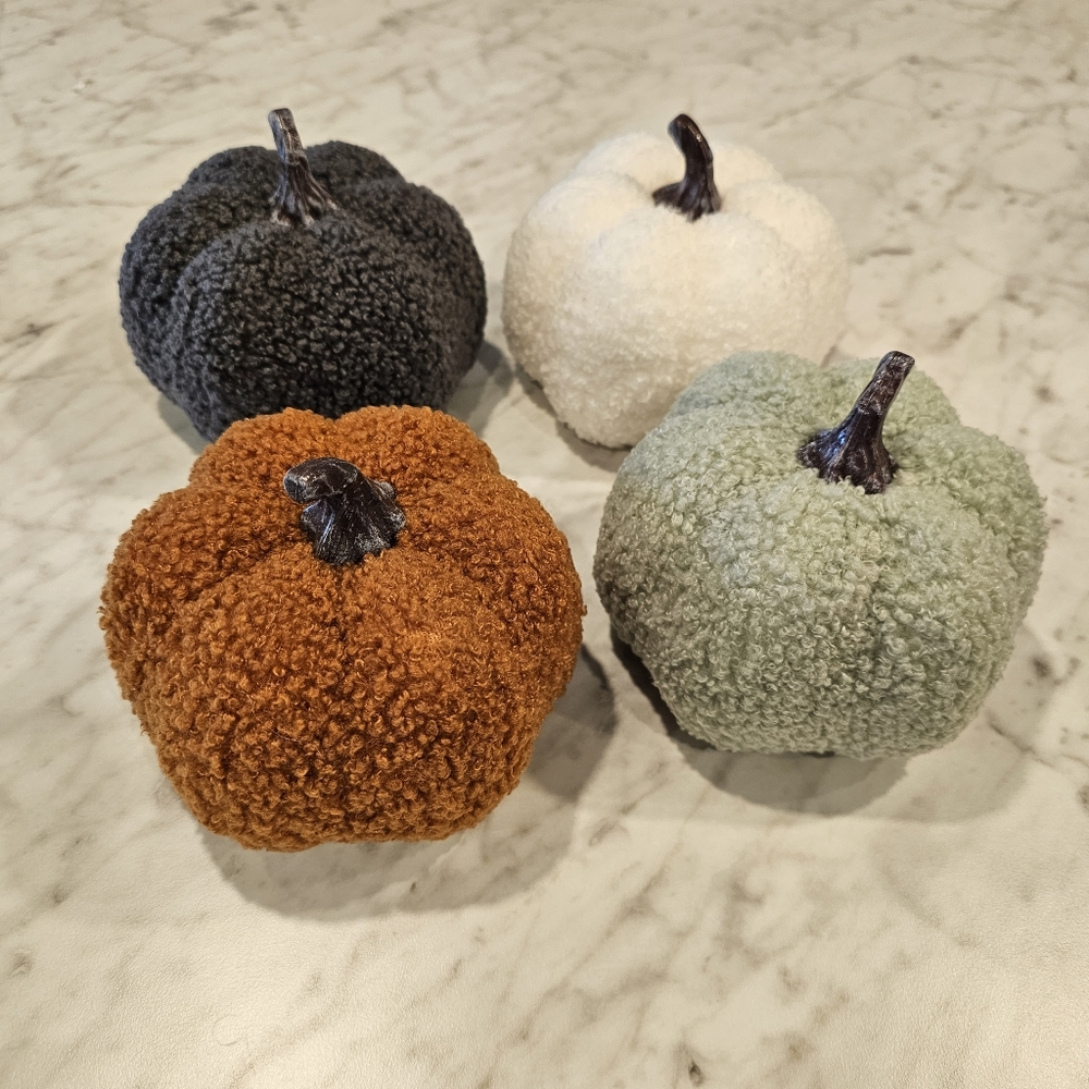 Sherpa Pumpkins Set of 4 Medium - Picture 12 of 13